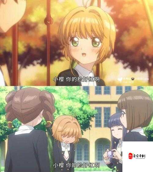 樱之恋爱校园，态度，恋爱路上的隐形罗盘