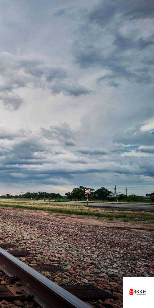 99 国产精品人 8 无码免费：高清画质，极致享受