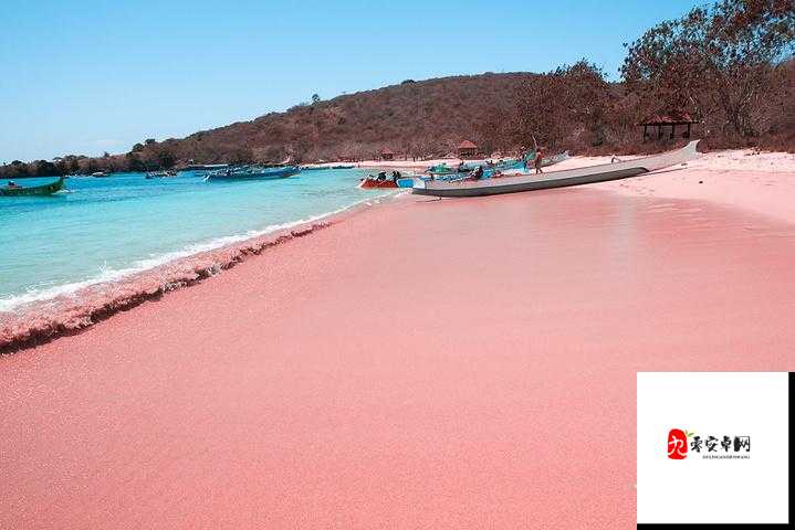 18 中禁用品 2023 年粉色黄色：深度解析其神秘面纱与潜在影响