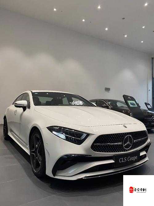 cls 区 2024 全新地址 1-地址 2 周边发展新动向