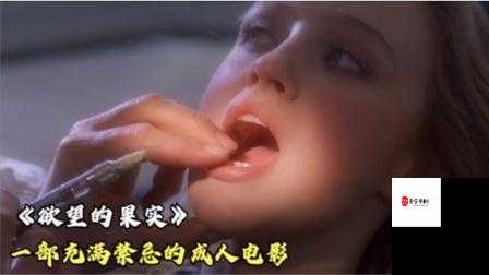 色呦呦黄片：探讨成人影片中的伦理与文化