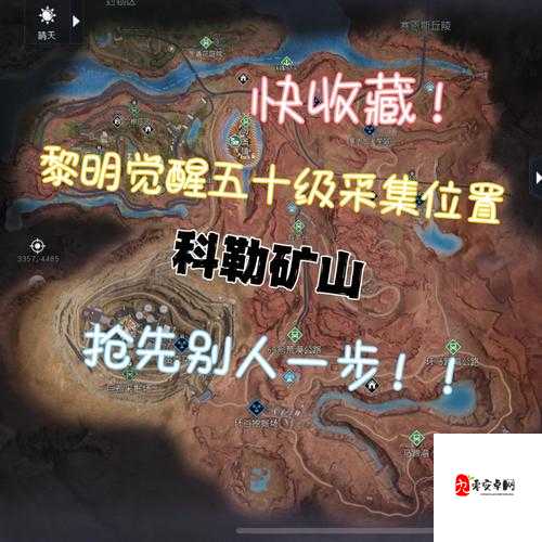 黎明觉醒，开局道具组合选择，助你赢在起跑线