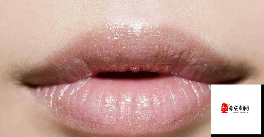 老中医用嘴排阴毒小雨最新章节更新：探究背后的真相与发展