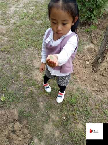 舞蹈室里的景色李欣罗晴：那充满活力与美好的瞬间