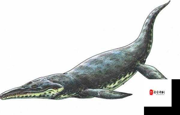 触手怪是个什么东西：带你探索其神秘的存在之谜