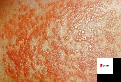 老年妇女 BBBBB 毛多水多,私密部位特写镜头