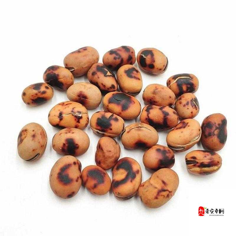 高清欧美精品 XXXXX 大豆行情：优质大豆的行情分析与展望