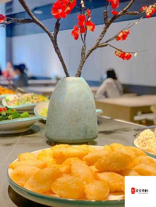 一品鲍 10 破解版：畅享极致美食体验之秘籍