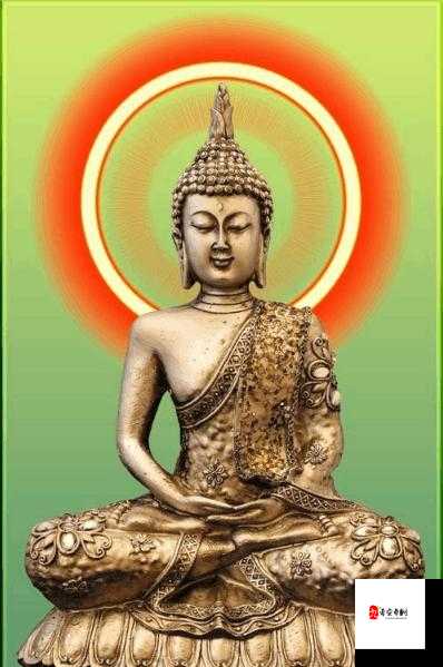 佛系玩家的终极秘籍，悠然苟进决赛圈的智慧之道