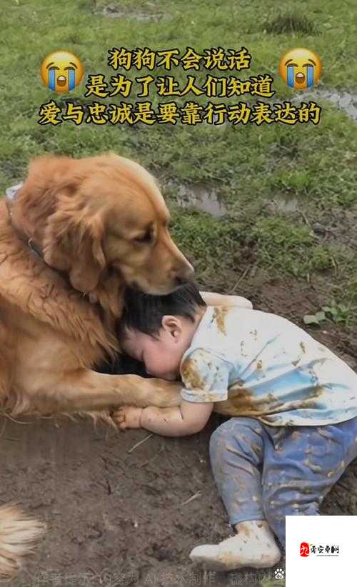 人与动物奇妙互动：小狗与主人温馨相伴的欢乐时光