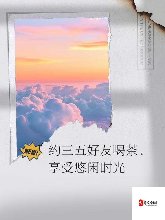 500 一晚同城约茶：享受惬意休闲时光