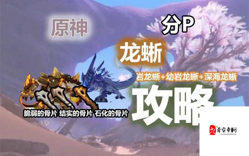 原神攻略龙蜥下篇，深度剖析，制胜策略大揭秘