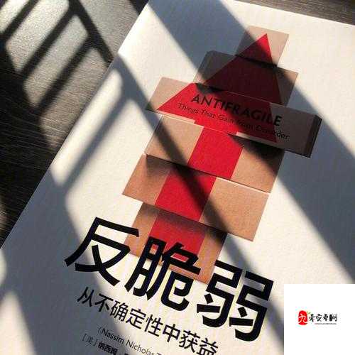 俄罗斯人与兽相关内容：探索独特视角下的别样世界