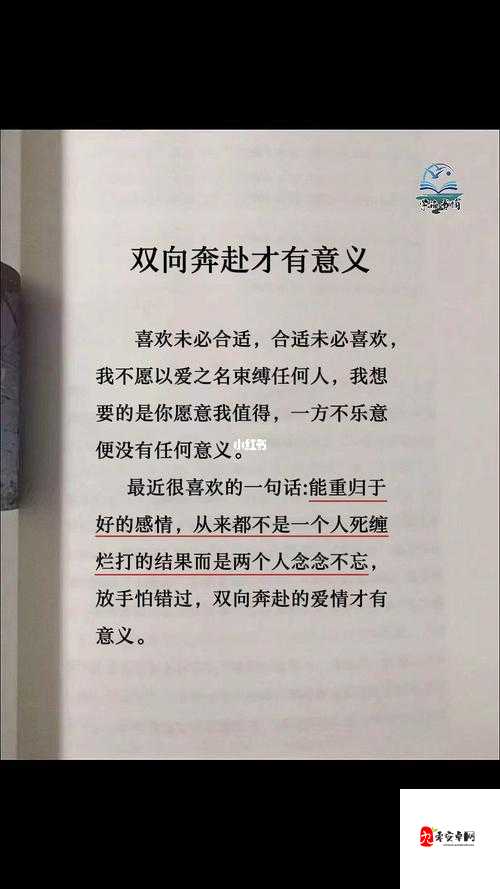 双向奔赴 1V1SC 南望：一场真挚的情感之旅