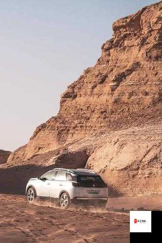 和平精英三轮摩托车驾驶秘籍，驰骋战场的狂野之风