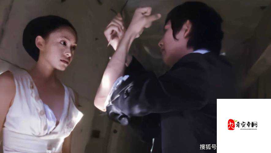 嘼皇极品无码：震撼视觉的极致内容呈现