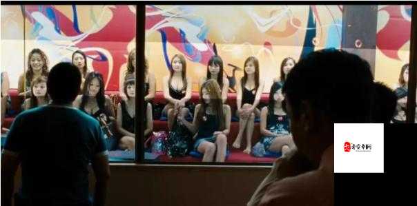 中国暗娼熟女妓女的生存现状与社会影响探讨