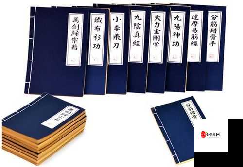 九阴真经X88888：探寻神秘武林秘籍的绝世之旅