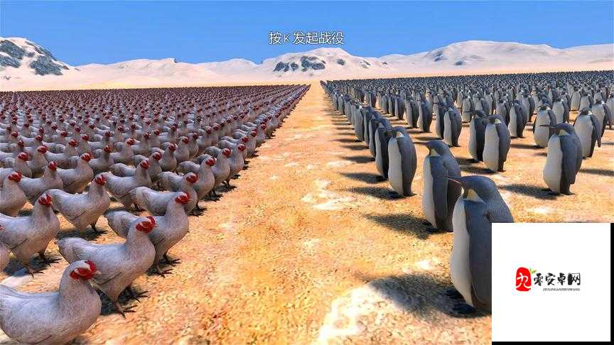 平原决战，决赛圈缩小时的策略与智慧较量