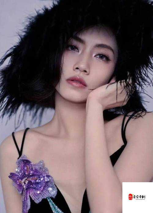 jiizzyouHD 欧美熟妇美的精彩魅力呈现