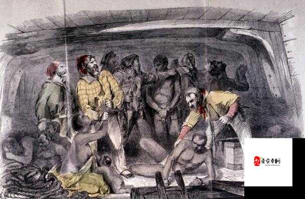 黑人男子对女性私密部位进行舔舐相关描述