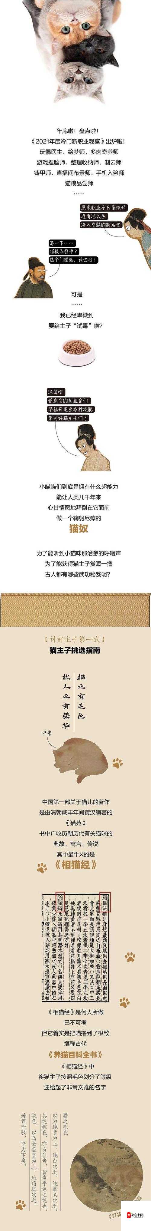 最好的铲屎官修炼手册，老玩家深度揭秘必备技能