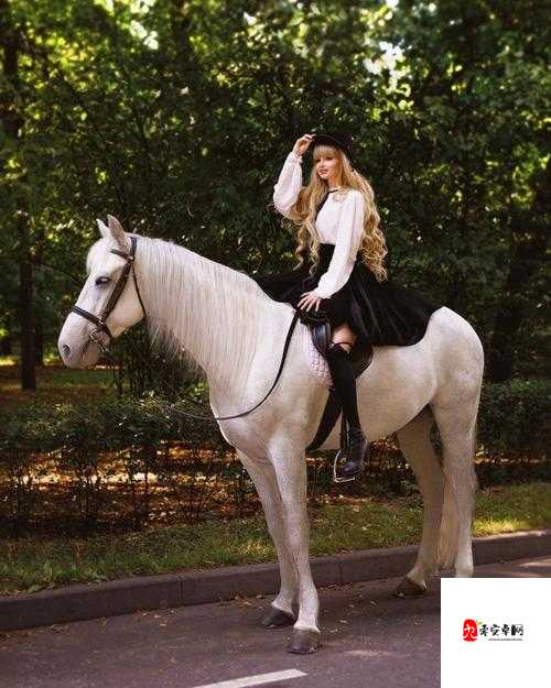 俄罗斯真人处破女：一场跨越文化与伦理的争议