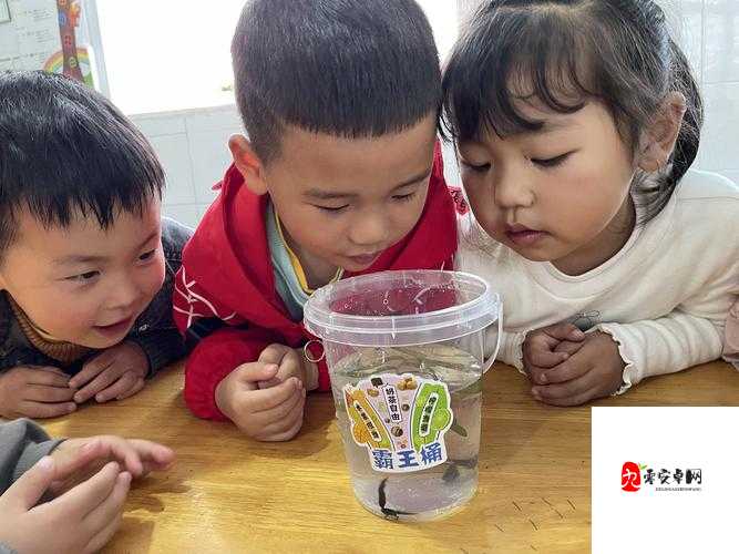 国产乱婬 OV 精品一区二区小蝌蚪：探索独特视觉盛宴