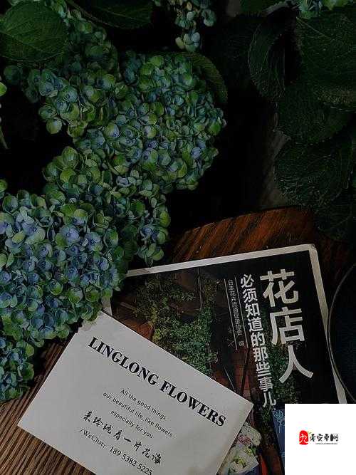 经营梦想花店不得不做的那些事，资源管理的艺术