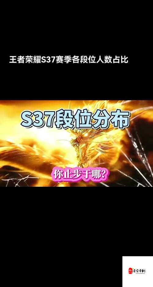 王者荣耀禁赛机制揭秘，七小时禁赛如何应对？