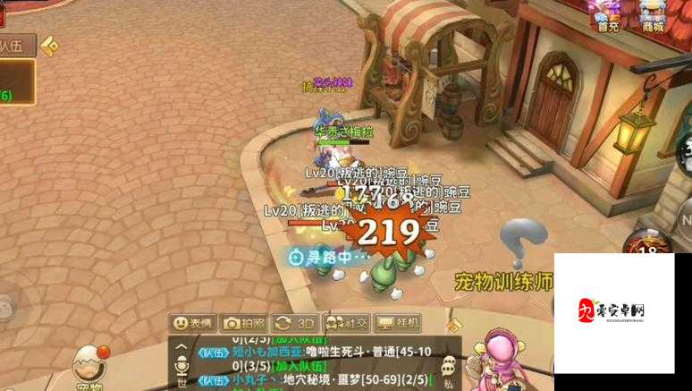 赛尔特大陆宠物搭配秘籍，解锁最强战力组合