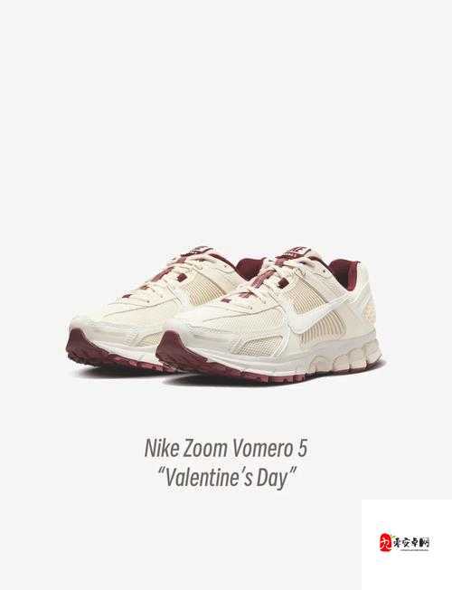 美国 Zoom 与动物 Zoom 的奇妙互动之旅