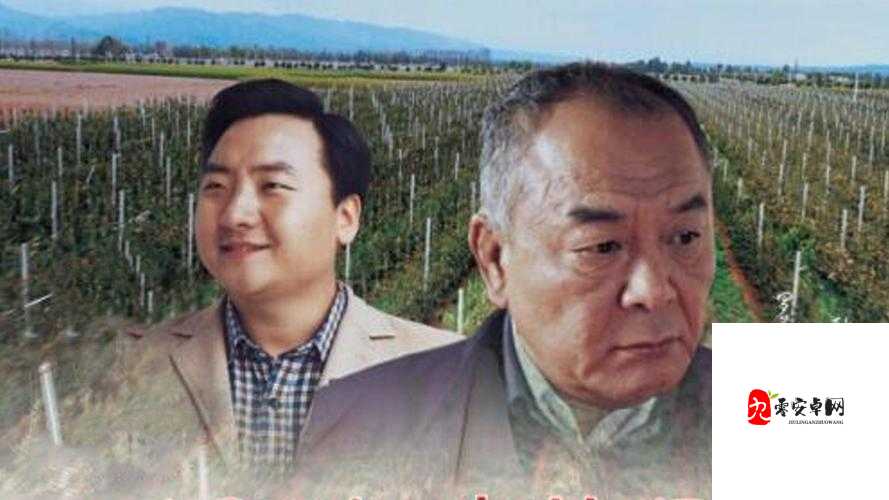 美国 P 站 PROUMB：探索精彩视频世界的独特平台