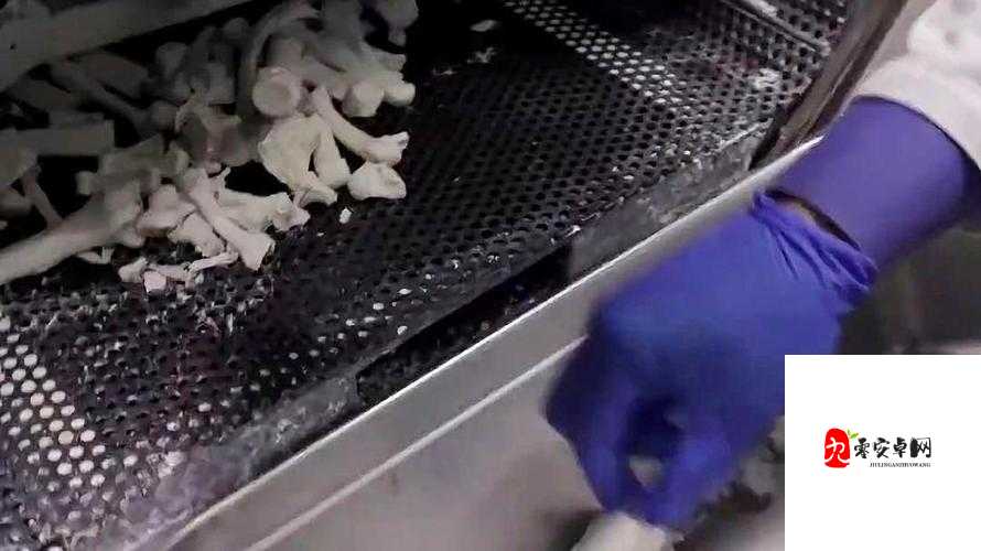 91 国精产品自偷自偷综合：探索性与艺术的完美结合