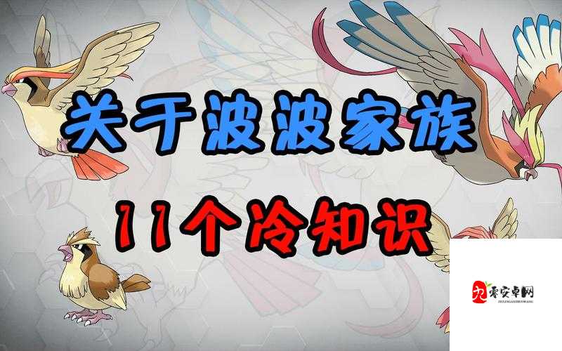 宝可梦大探险波波技能搭配建议攻略