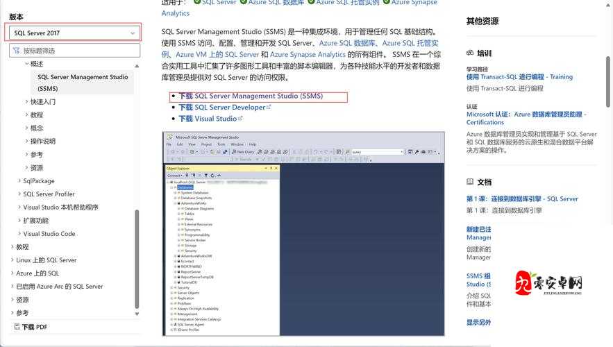 高清 VPSWINDOWS 特点：种子无限下载畅享优质资源