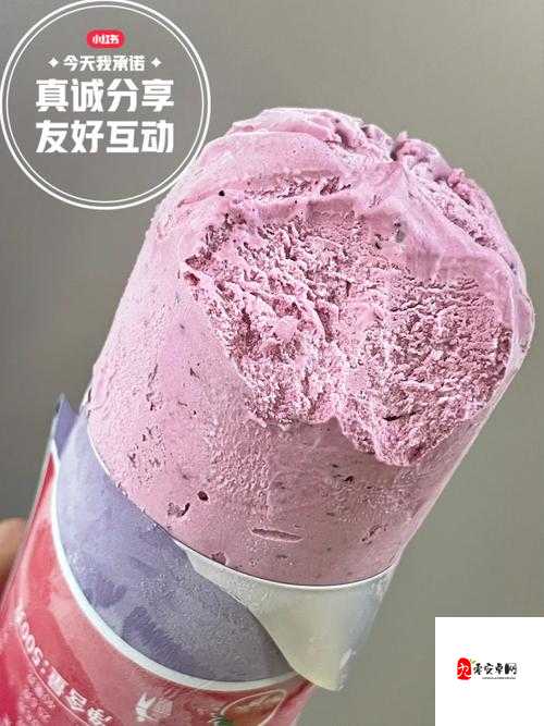 七彩莓冰淇淋，美味与收益并存的创业秘籍