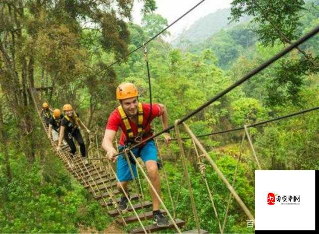 荆棘丛林探险遇险，掌握自救技巧是关键
