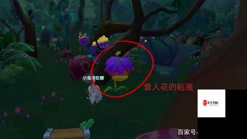 摩尔庄园黑森林探险，黑色产物获取全攻略