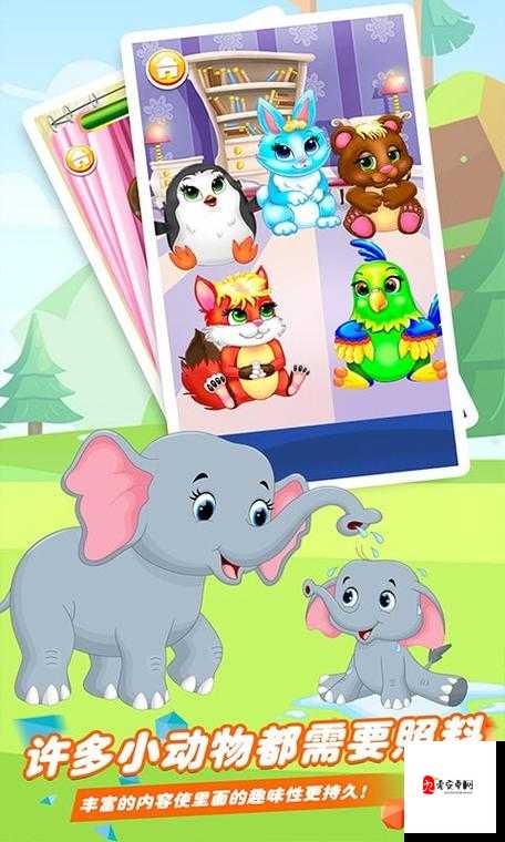 小熊的动物诊所，给宠物看诊的温馨指南