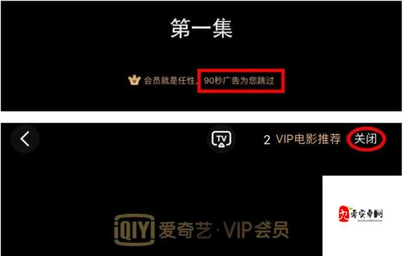 黄金网站 APP 视频大全：海量精彩视频尽情畅享