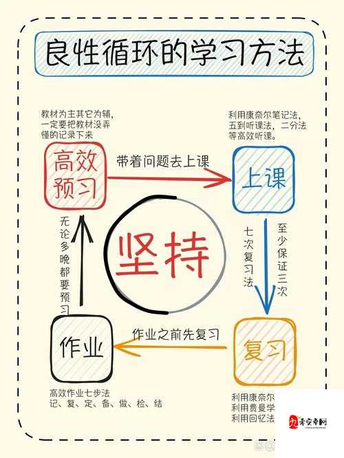 全民班主任，解锁班级管理的高效秘籍