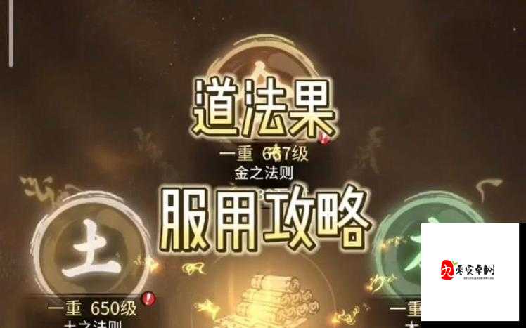 一念逍遥，道法果的妙用与获取策略