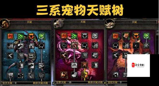 赛尔特大陆宠物玩法全解析，如何挑选你的最佳伙伴