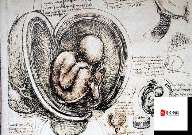 ：探索性行为的奥秘：艹屄的科学与艺术