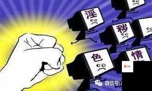 黄片下载渠道：探寻合法与安全的途径