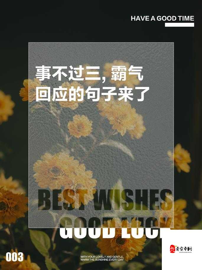 色姑娘霸气怼浪逼：绝不退让的精彩交锋