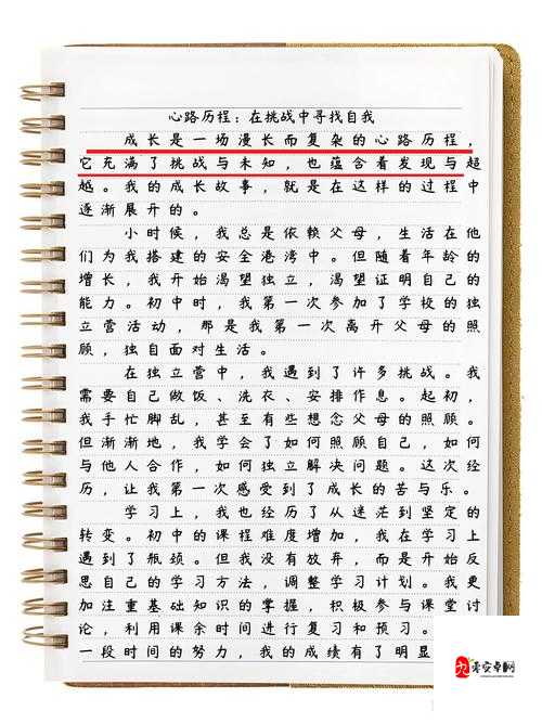 错几道题就往下面插一支笔作文：记录学习成长的独特方式