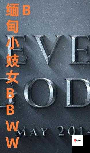 老熟女 BBw 搡 BBBB 仙踪林：迷失在欲望的森林中