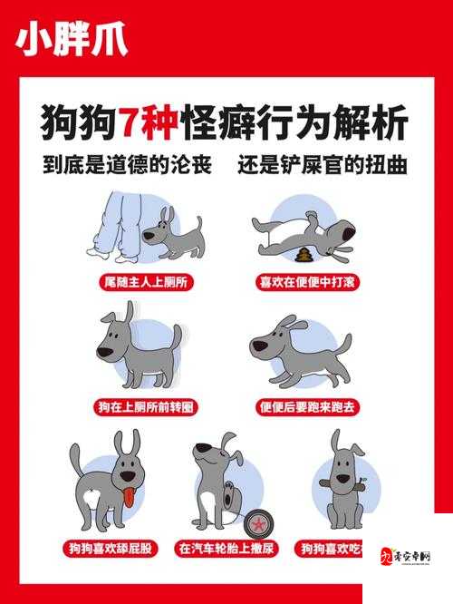 狗狗射速太快对女生有伤害吗：相关问题探讨与解析